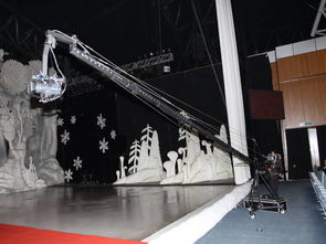 專業攝像與制作，為太湖新人定格永恒瞬間——太湖婚慶公司服務詳解